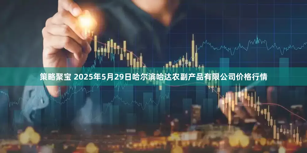 策略聚宝 2025年5月29日哈尔滨哈达农副产品有限公司价格行情