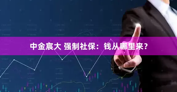 中金宸大 强制社保：钱从哪里来？