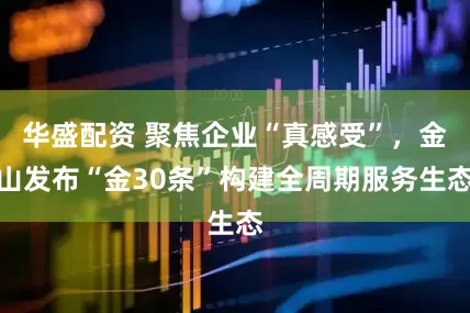 华盛配资 聚焦企业“真感受”，金山发布“金30条”构建全周期服务生态