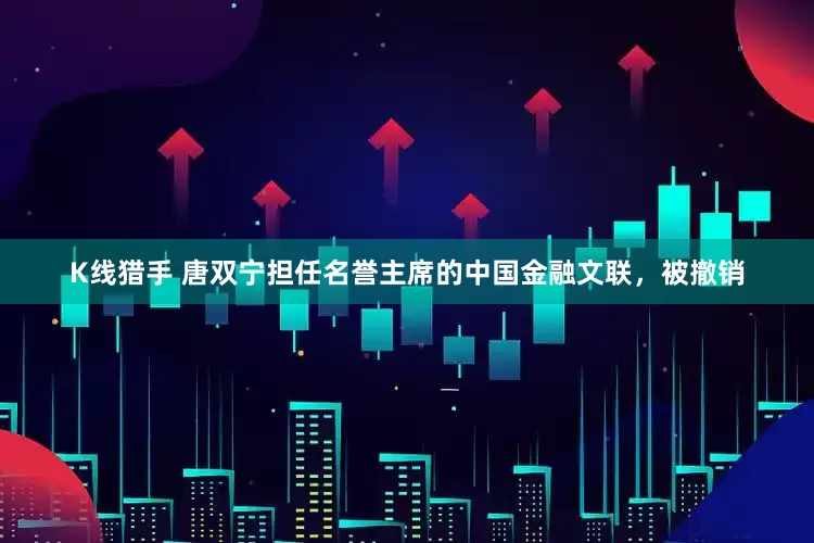 K线猎手 唐双宁担任名誉主席的中国金融文联，被撤销
